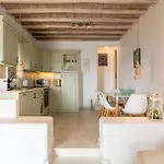 Mykonos Divino Apartment